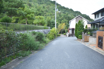 ムクゲ公園の画像5