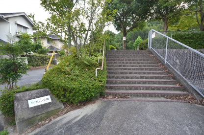 モクレン公園の画像1