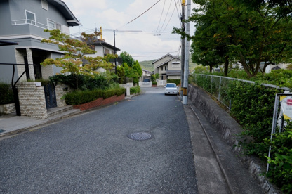 モクレン公園の画像5