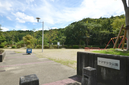 ヤマザクラ公園の画像1