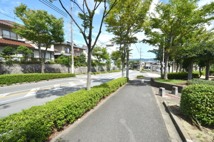 ヤマザクラ公園の画像5