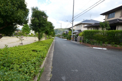 ヤマボウシ公園の画像4