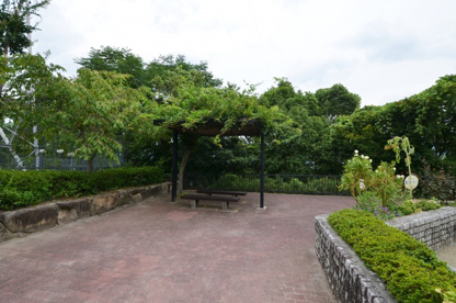 鴬台ばら公園の画像4