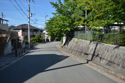 顔公園の画像5
