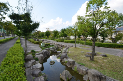 水毬公園の画像3
