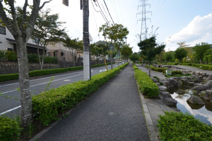 水毬公園の画像4