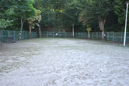 清流台第2公園の画像4