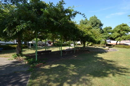 藤ケ丘第八公園の画像2