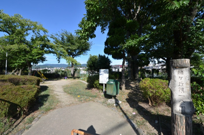 藤ケ丘第一公園の画像1