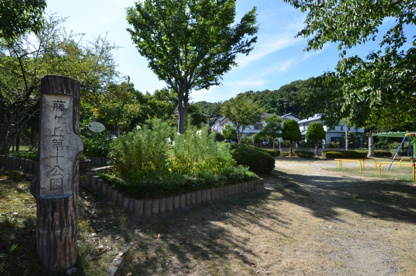 藤ケ丘第十公園の画像1