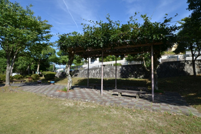 藤ケ丘第七公園の画像4