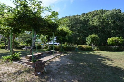 藤ケ丘第二公園の画像4