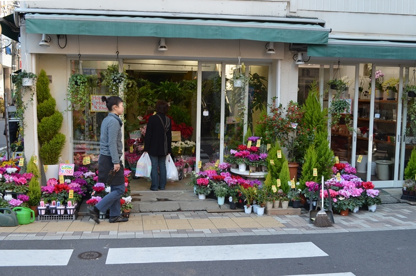 上花 市場 代々木 上原 すべての美しい花の画像