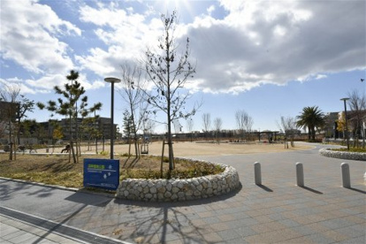 浜甲団地公園の画像1