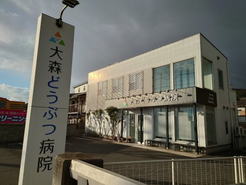 大森どうぶつ病院