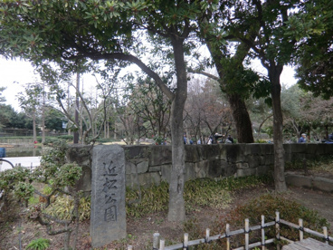 近松公園の画像2