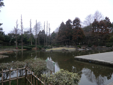 近松公園の画像3