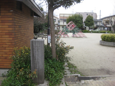 森公園の画像2
