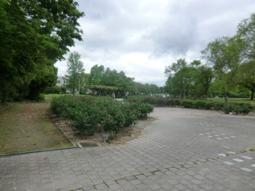 農業公園の画像2