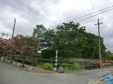 農業公園の画像5