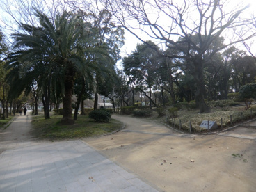 尾浜公園の画像2