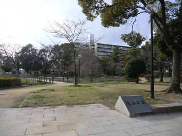 尾浜公園の画像3