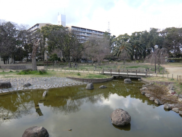 尾浜公園の画像4