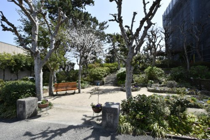 北郷公園の画像1