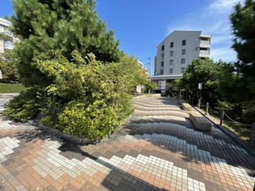松ノ内緑地の画像1