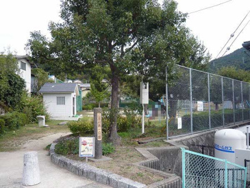 上温品第一公園