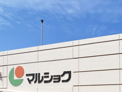 マルショク　大畠店