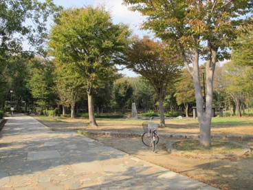 並木公園の画像1