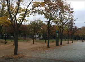 竹園公園の画像1