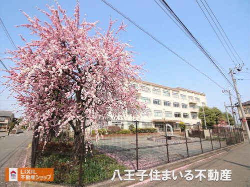 八王子市立第七中学校