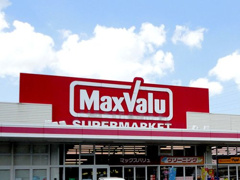 マックスバリュ 真名子店