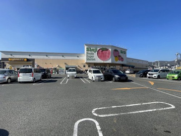 SHOJI(ショ-ジ) R375バイパス店