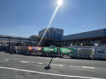 DCM DAIKI(DCMダイキ) 土与丸店