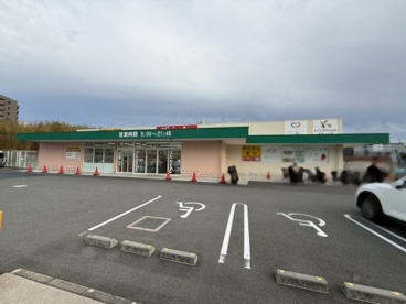 キリン堂 豊中上新田店の画像1