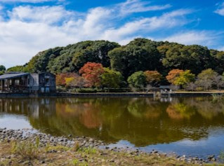 21世紀の森と広場