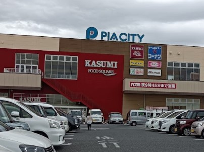 ピアシティ 柏中新宿