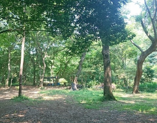 大青田の森