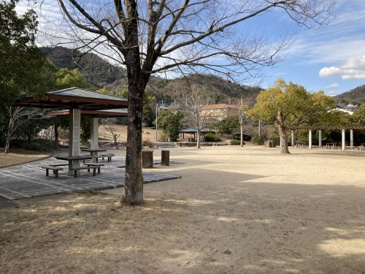 彩が丘中央公園