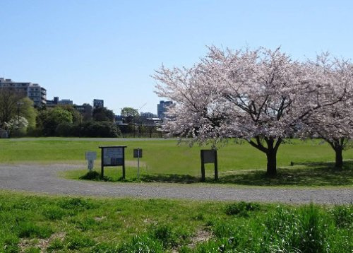 大堀川防災レクリエーション公園