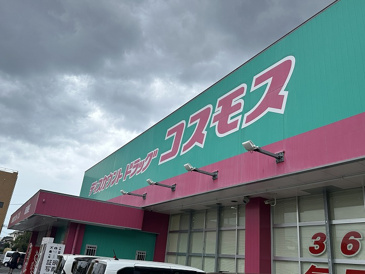 ディスカウントドラッグ コスモス 尾道東店