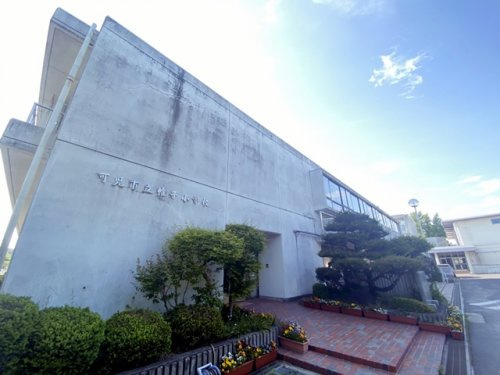 帷子小学校