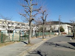 桜ヶ丘小学校