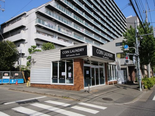 セルフランドリーダック