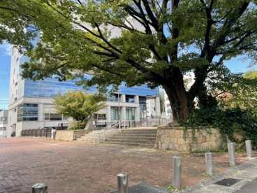 都賀川公園の画像2