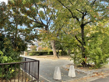 都賀川公園の画像3