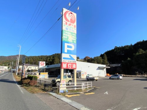 コメリハード&グリーン坂下店